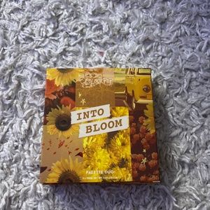 eyeshadow makeup pallet